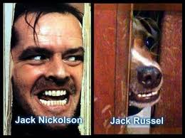 Clean, Funny & Cute Animal Memes