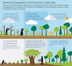 African Countries Aim To Restore 100 Million Hectares Of Degraded Land African Countries Restoration Climate Action