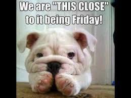 Happy Friday Eve Dog Lovers Funny Bulldog Happy Thursday Happy thursday quotes and images can do a lot of things.they can inspire, motivate happy friday eve dog lovers funny