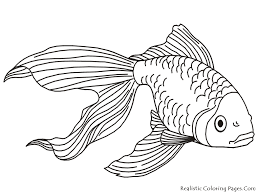 fish coloring pages ile ilgili görsel sonucu