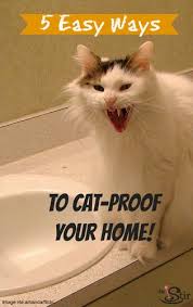 5 Tricks To Stop Cats From Clawing Your Furniture To Shreds Cat Proofing Cats Cat Care