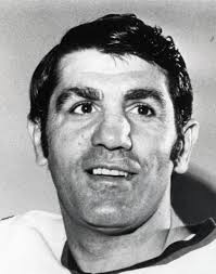 Lou Angotti Hockey Stats and Profile at hockeydb.com