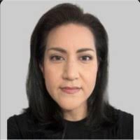 200+ "Búřil" profiles