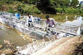 Resep umpan ampuh untuk bubu payung target udang sungai halo sobat semua nya kali ini saya mau berbagi resep umpan. Bersihkan Sampah Sungai Secara Automatik Utusan Digital