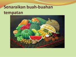 Quickly memorize the terms, phrases and much more. Buah Buahan Tempatan