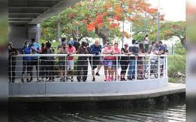 Learn more about animal welfare in tourism. Pjwqi224gohc7m