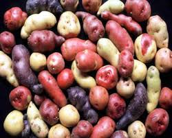 Larger potato varieties usually require a 2 ounce piece. Https Citeseerx Ist Psu Edu Viewdoc Download Doi 10 1 1 135 2368 Rep Rep1 Type Pdf