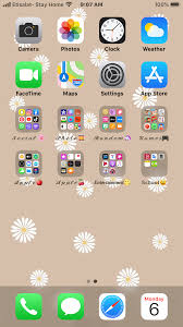 Aesthetic Iphone Organization In 2020 Iphone Organization Iphone Layout Organization Apps
