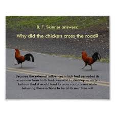 Why Did The Chicken Cross Small Poster Zazzle Com Custom Posters Personalized Prints Psychology Jokes
