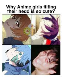 Their actions certainly makes you embarrased. The Funniest Anime Memes Anime Meme Face Anime Funny Anime Memes