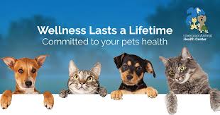 Liverpool Animal Health Center Animal Hospital In Liverpool