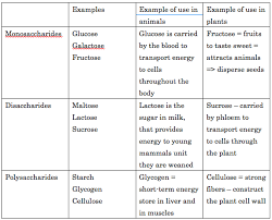 Lecture 2 3 2 Carbohydrates Lipids Proteins Nutrition