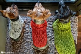 These cozy sweaters are available in 8 different sizes. Easy Crochet Dog Sweater For Large X Large And Xx Large Dogs