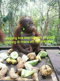  Dagang Lagi Sepi Humor Lucu Lucu Foto Lucu