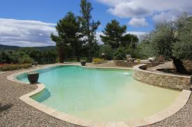 epingle sur piscines de forme libre