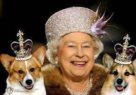 You Ll Never Guess These Famous Corgi Parents The Guild Of Shepherds Collies Queen Elizabeth Her Majesty The Queen Queen Elizabeth Ii