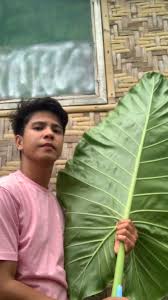 Profile for Mrose Maryrose