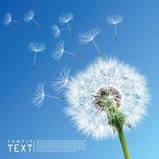 Download Free Dandelion Clipart In Ai Svg Eps Or Psd