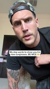 Funny Dog Moments That Will Brighten Your Day