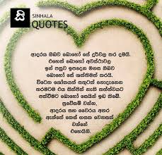 We did not find results for: Sinhala Quotes Home Facebook