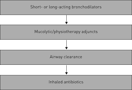 European Respiratory Society Guidelines For The Management