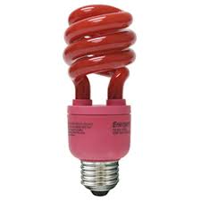 Check spelling or type a new query. Cli Energetic 60w Equivalent Red Spiral Cfl Light Bulb Fe15313srvp1 The Home Depot