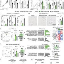 The positive effects of prednisone regimens