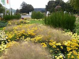 Related Image Flower Garden Pictures Garden Pictures Grasses Landscaping