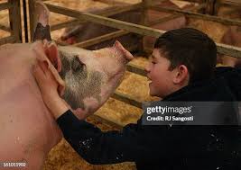 52 Seth Willard Stock Photos, High-Res Pictures, and Images