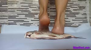 Crush fetish fish - Best adult videos and photos