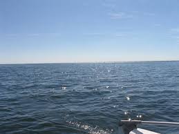 We did not find results for: Lake Newell Outdoor Canada