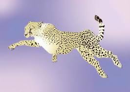 Edit the color of your icons, change the size and download them in all formats, svg, png, eps. å°ç£åœ‹æ—— æµ·é‡å'é‡åœ–å…è²»ä¸‹è¼‰ Illustac