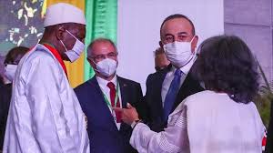 Learn all about guinea pig basics like breeds, feeding, grooming, cages, and so much more. Turkish Fm Joins Swearing In Of Guinean President