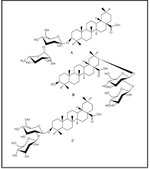 Image result for Massularia