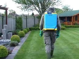 Stop weeds before they sprout with green it corn gluten weed preventer. How To Get The Best Results From Lawn Weed Killers