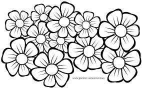 Sakura, bunga anggrek, bunga tulip, bunga melati, bunga lili dan bunga matahari. 200 Gambar Bunga Sakura Untuk Di Warnai Hd Infobaru