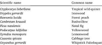 Image result for Rawsonia