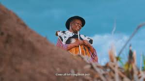 Image result for Mimulopsis solmsii