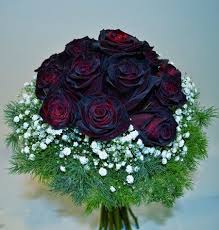 La Tienda De Las Flores Google Rosas Negras Naturales Rosas Negras Flores