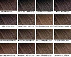 Rueda De Color De Pelo Ideas De Colores En 2016 Hair Color Chart Hair Color Chart Brown Hair Color Chart Cool Brown Hair
