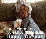 Check spelling or type a new query. Funny Tuesday Quotes Pictures Photos Images And Pics For Facebook Tumblr Pinterest And Twitter