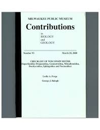 Image result for Syngrapha microgamma