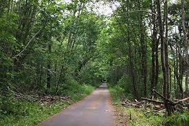 Chehalis Western Trail Washington Trails Traillink Com Horseback Riding Trails Western Trail Trail