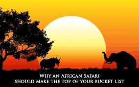 We did not find results for: Why An African Safari Should Make The Top Of Your Bucket List Bushman Safaris
