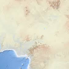 Image result for Cyclocotyla