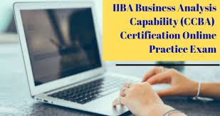 Iiba Ccba Certification Exam Sample Questions Iiba Business Process Management Exam
