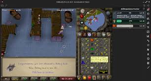 Image result for osrs fishing guide