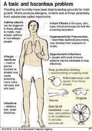 Long Term Effects Of Black Mold Black Mold Symptoms Mold Exposure Black Mold Exposure Toxic Mold