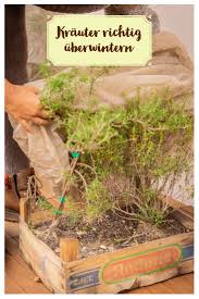 Balkon Krauter Uberwintern Garten Fraulein Der Garten Blog Krauterpflanzen Balkon Pflanzen Sukkulenten Pflanzen