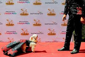 Wright of waye of criminals: Owners Present Pets To Philippines Priest For Blessing